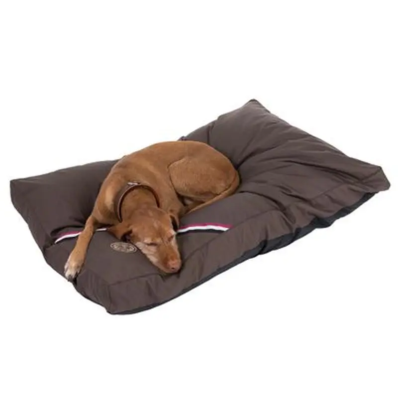 Champion Dog Cushion - 120 x 80 x 10 cm (L x W x H)