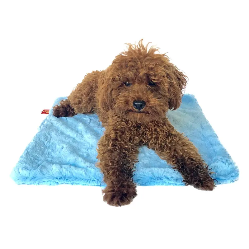 The Dog Squad Bella Dog Blanket - Light Blue