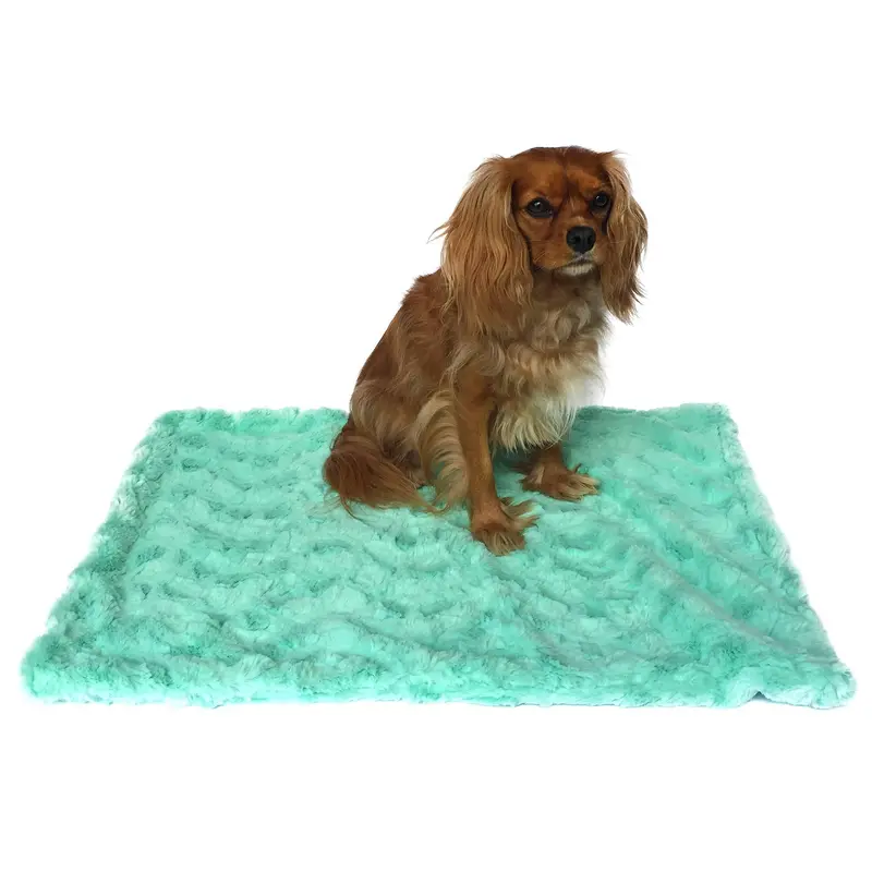 The Dog Squad Bella Dog Blanket - Seafoam