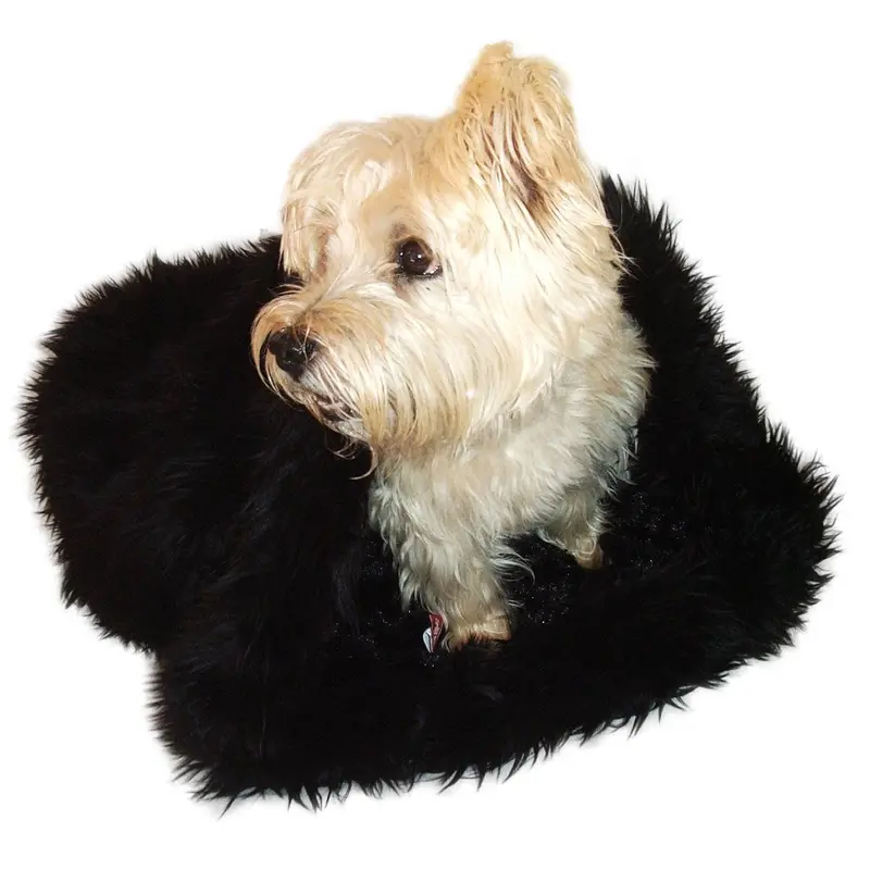 The Dog Squad 3-in-1 Cozy Dog Cuddle Sack - Black Shag