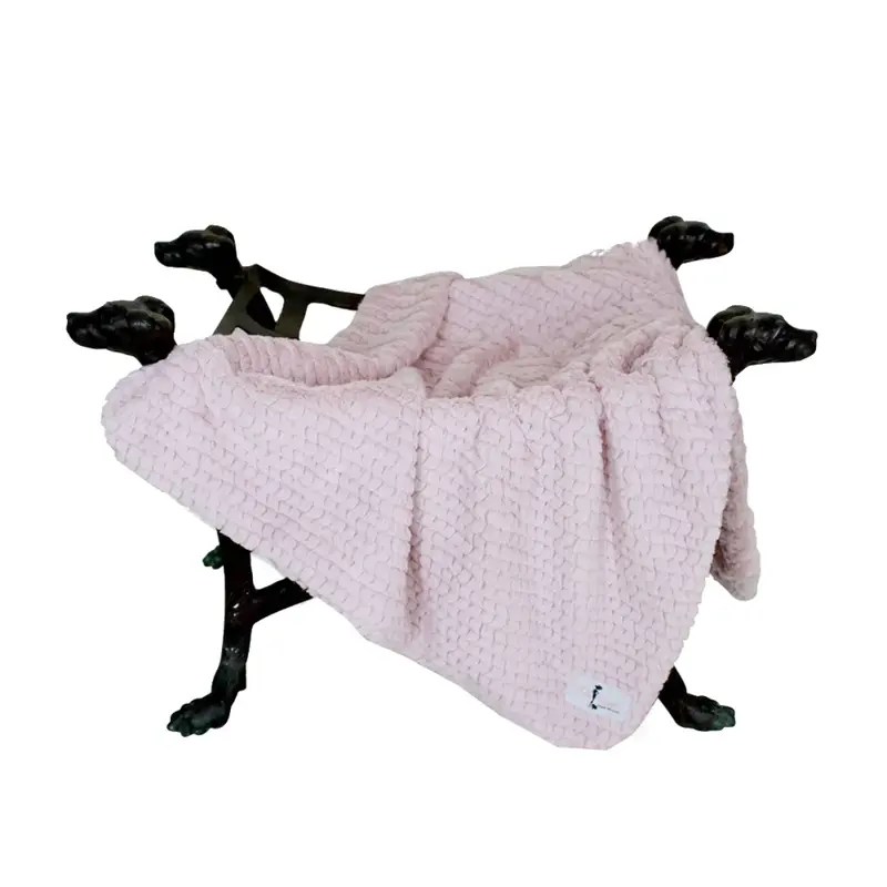 Hello Doggie Paris Dog Blanket - Rosewater