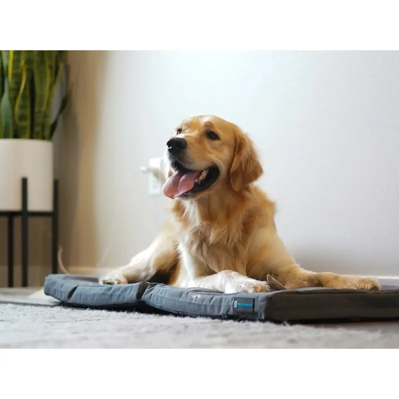Blue-9 Restore + Double Dog Bed for KLIMB - Gray BED ONLY