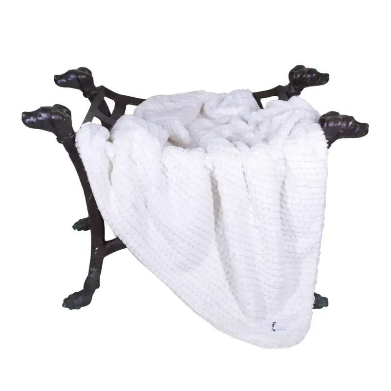 Hello Doggie Paris Dog Blanket - Ivory
