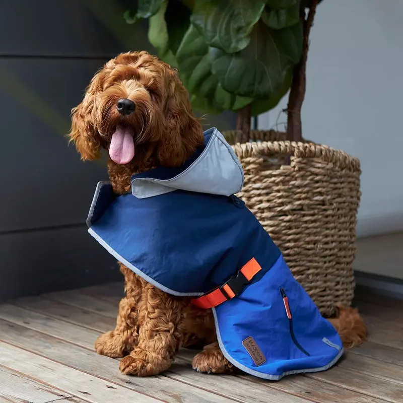 KAZOO COAT COSY RAINCOAT BLUE ZEST 53