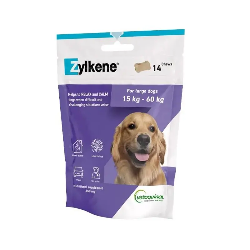 ZYLKENE CHEWS 450MG 14'S