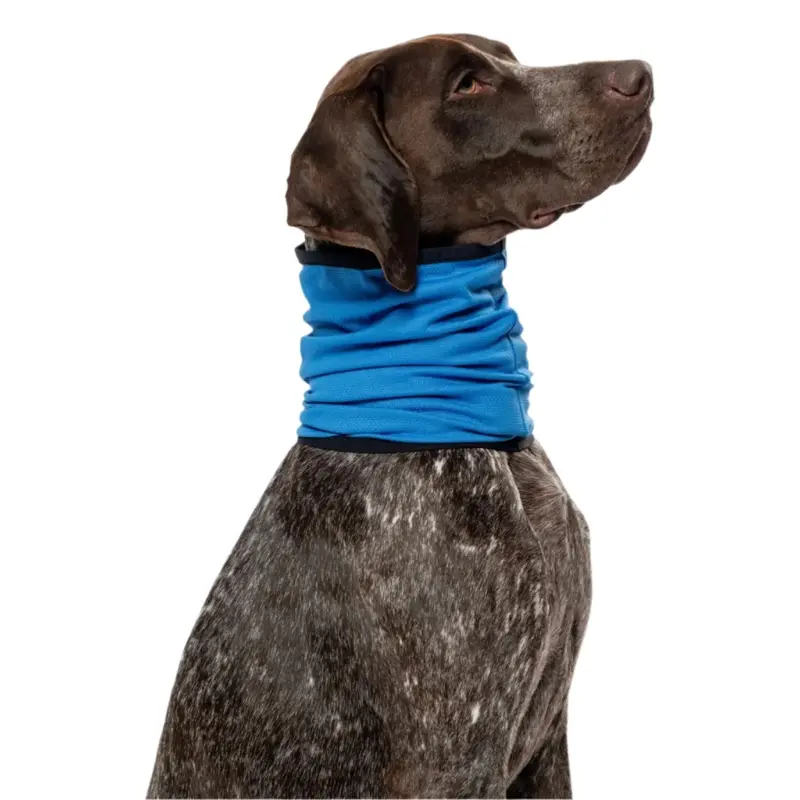 Insect Shield Cooling Neck Gaiter Teal*