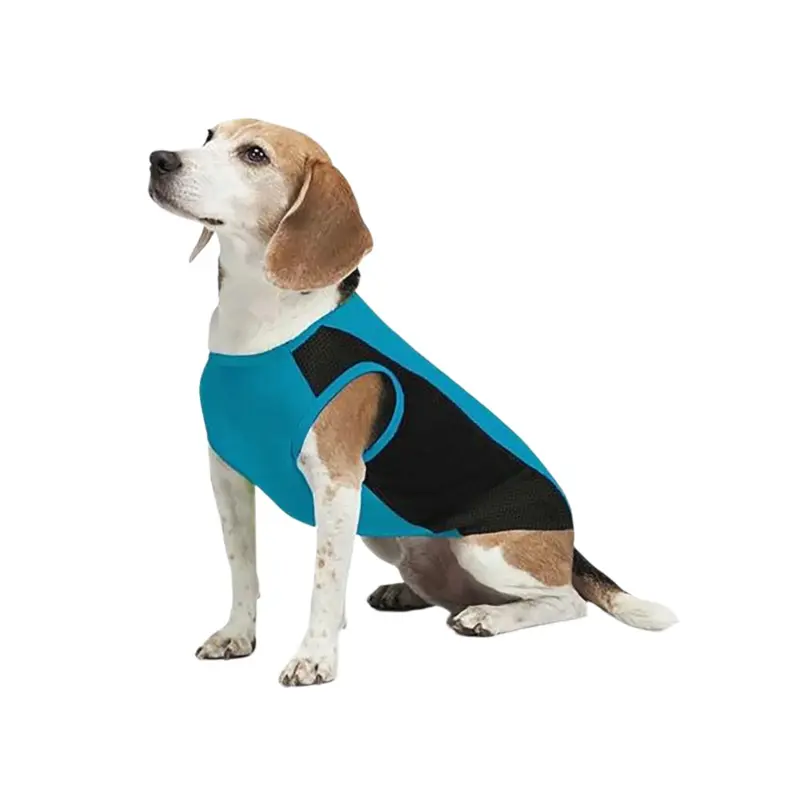 Insect Shield Cooling Tank Teal*