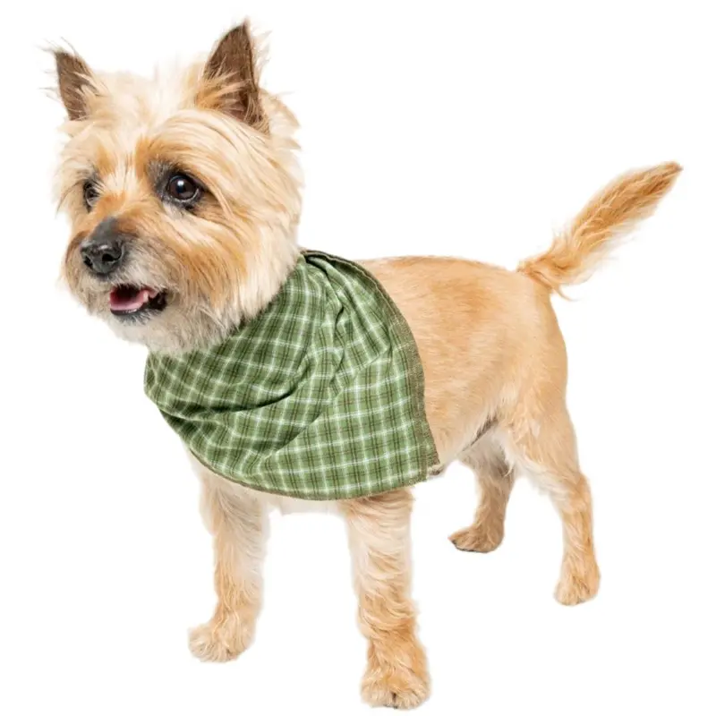 Insect Shield Trail Dog Bandana Green Small/Medium
