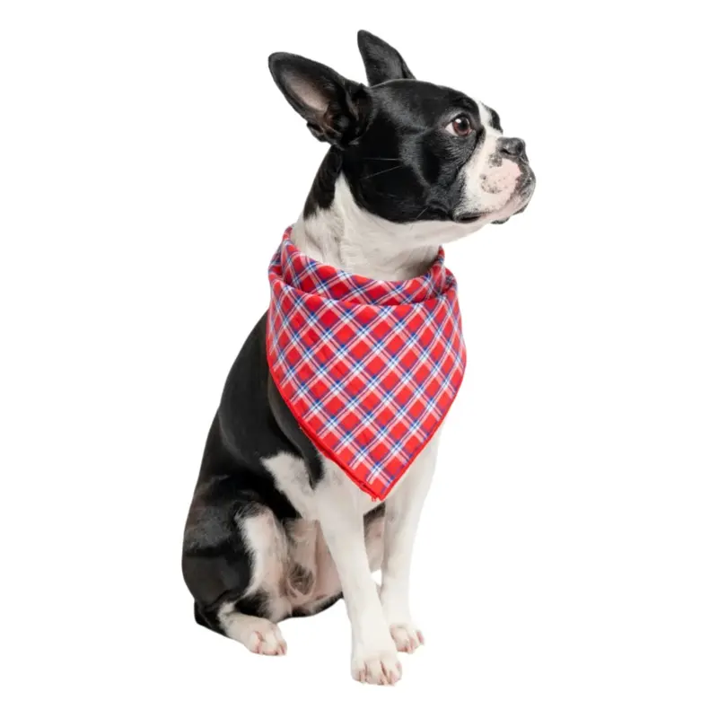 Insect Shield Trail Dog Bandana Red Small/Medium