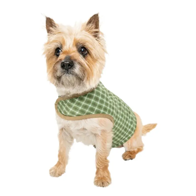 Insect Shield Trail Dog Vest Green*