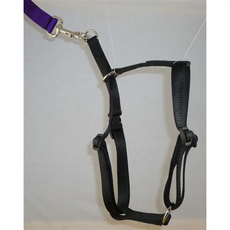 Locatis No Pull Harness Black*