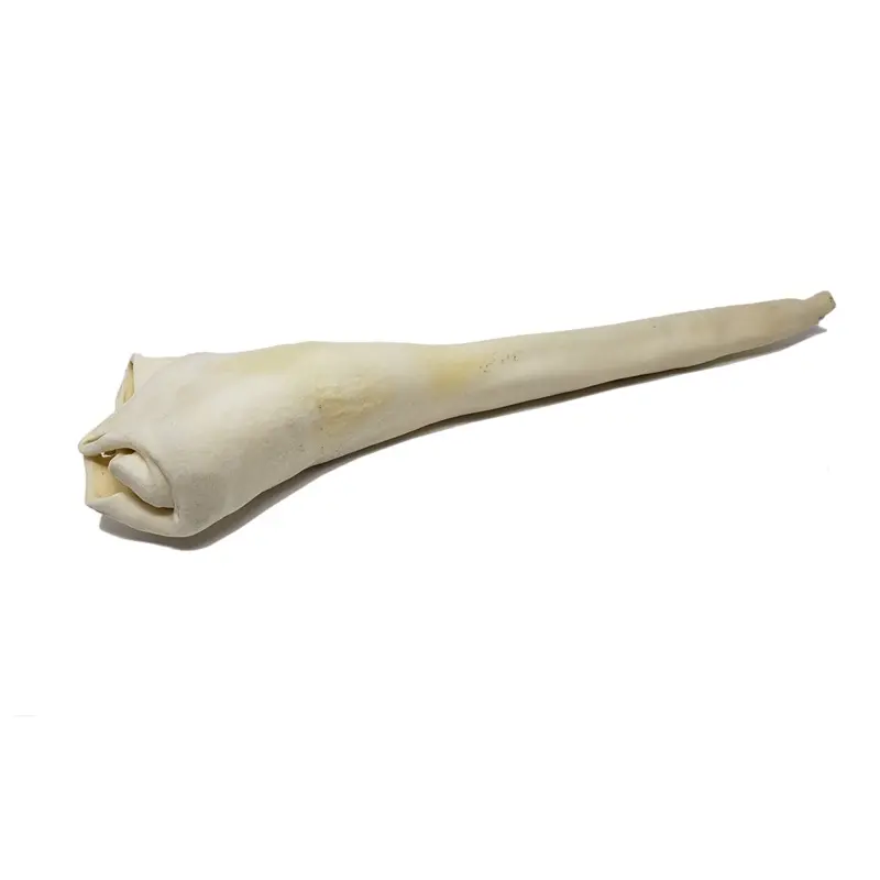 Home Range Full Length Bull Tail