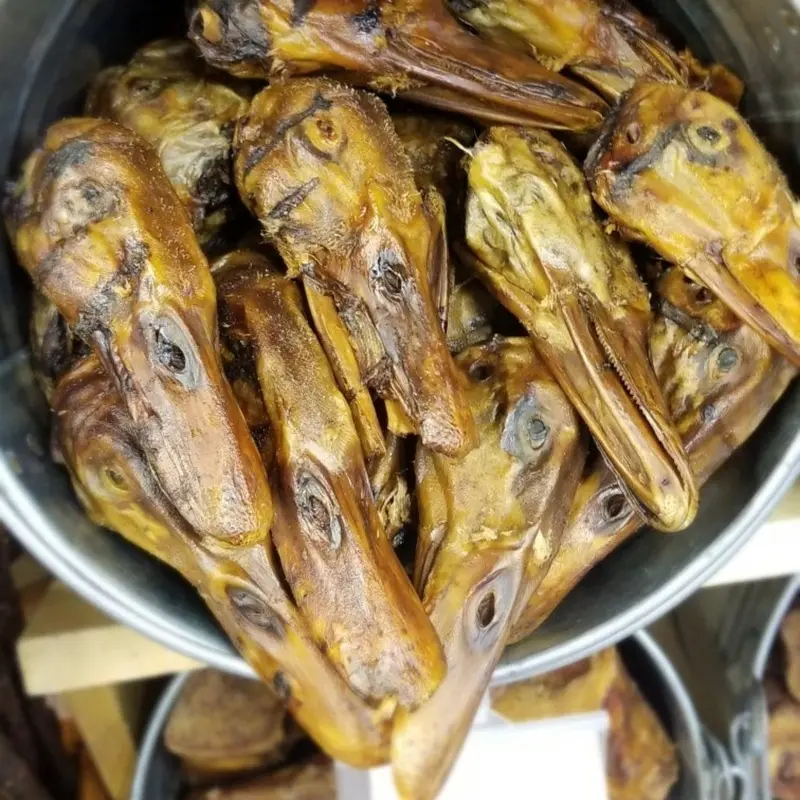 Junkyard Duck Head