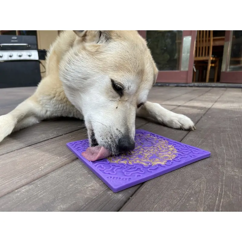 Soda Pup  Bone Design Lick Mat