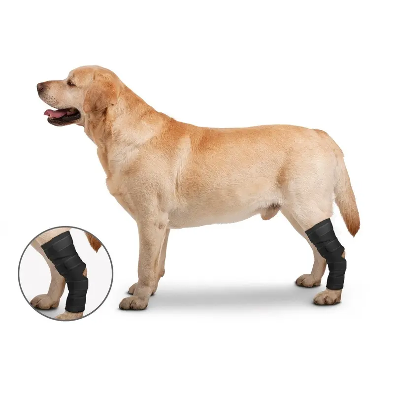 ZenPet Hock Protector