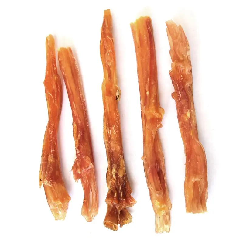 Natural Dog 9in Jumbo Beef Tendon