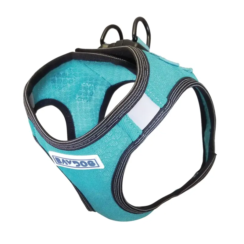 Bay Dog Liberty Harness Teal