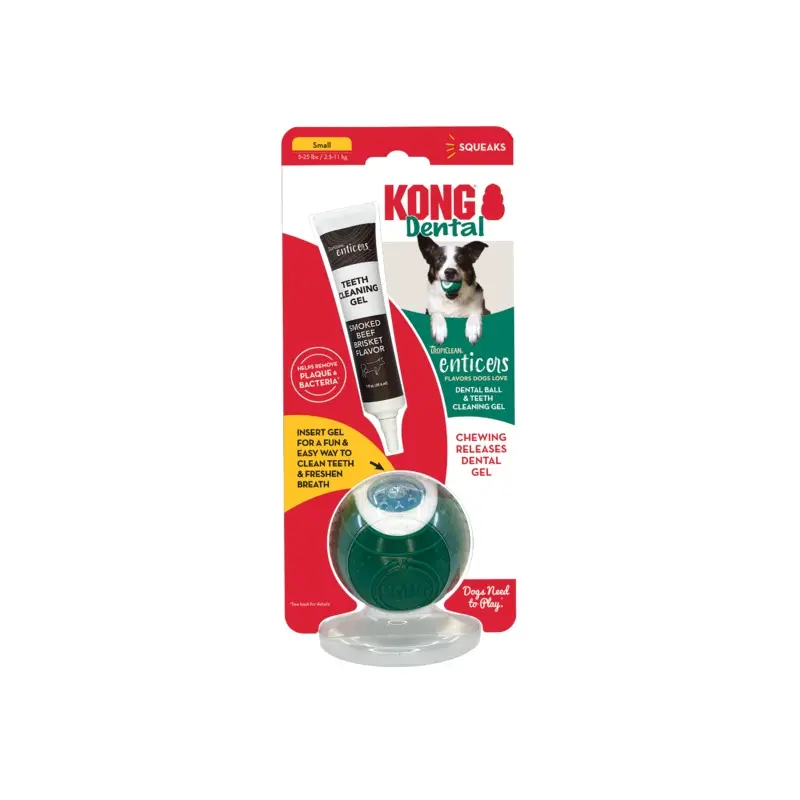 Kong Dental Ball with Enticer Gel
