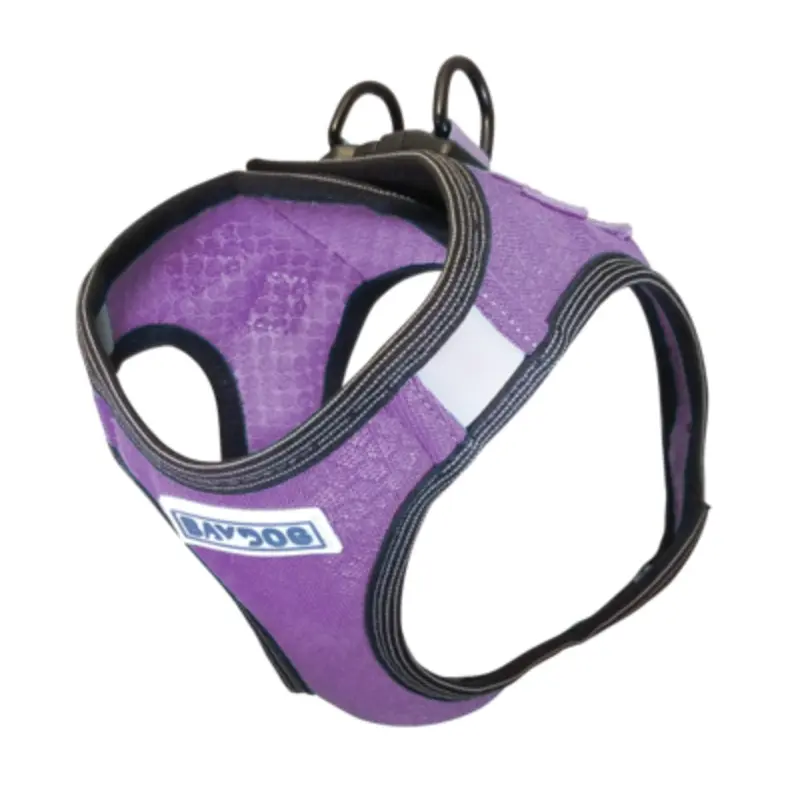Bay Dog Liberty Harness Violet
