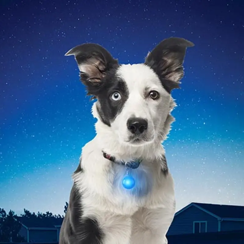 Nite Ize Spotlit LED Collar Light*