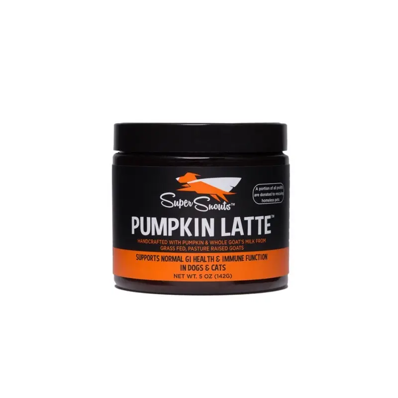 Super Snouts Pumpkin Latte