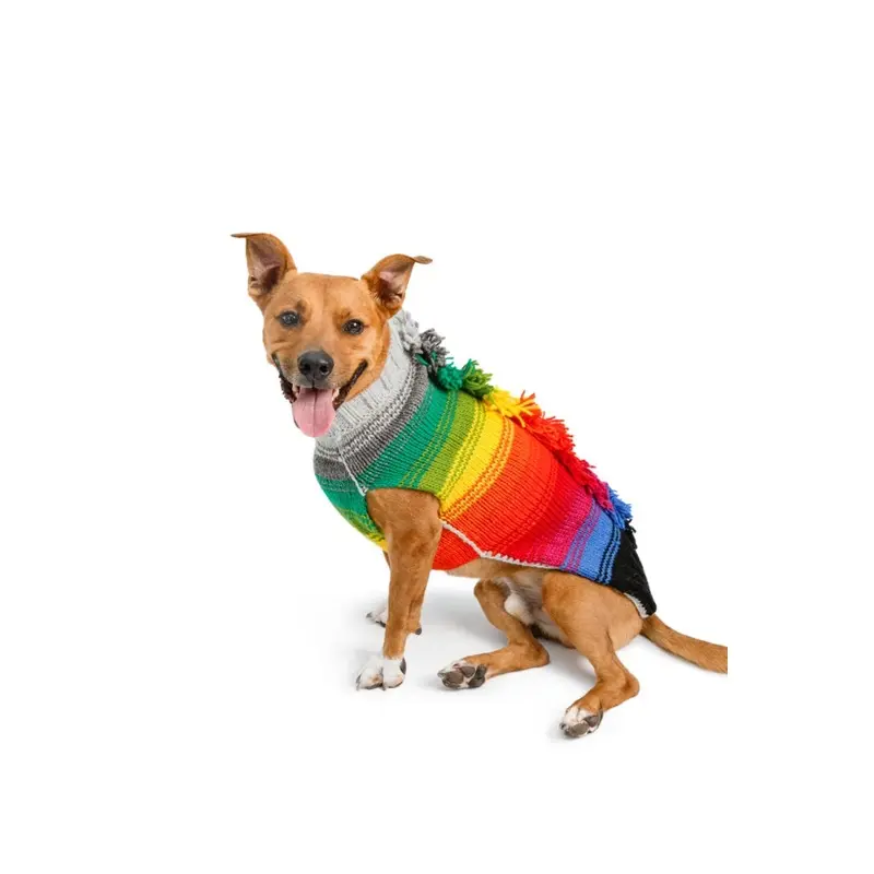 Chilly Dog Rainbow Mohawk Sweater*