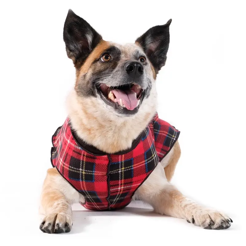 Goldpaw Double Fleece Red Tartan/Black