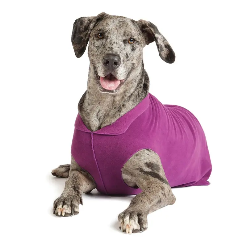 Goldpaw Fleece Eggplant*