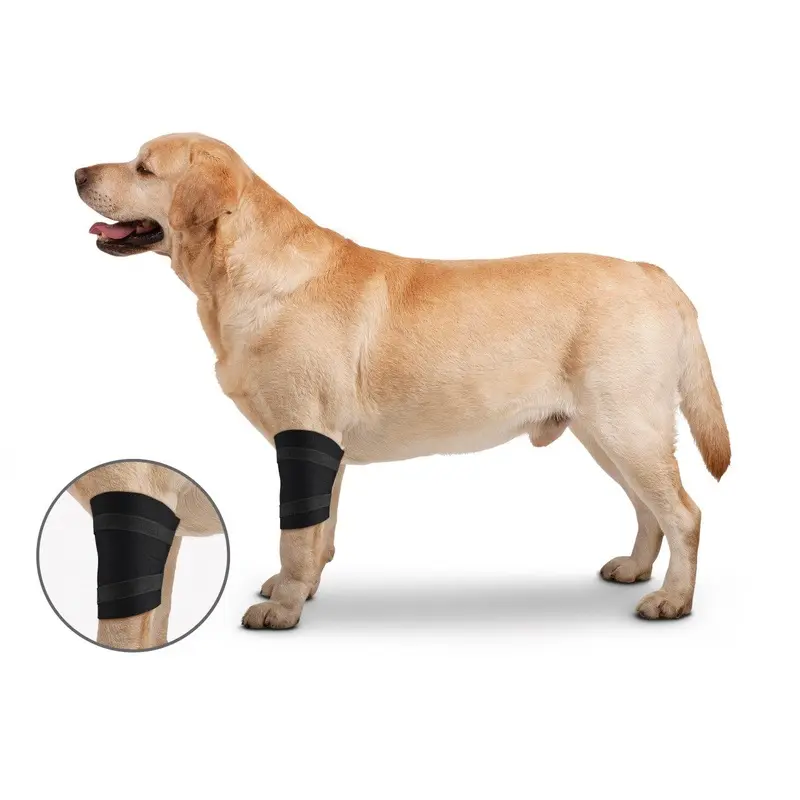 ZenPet Elbow Protector