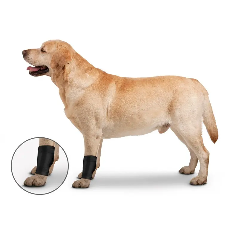 ZenPet Ligament Protector