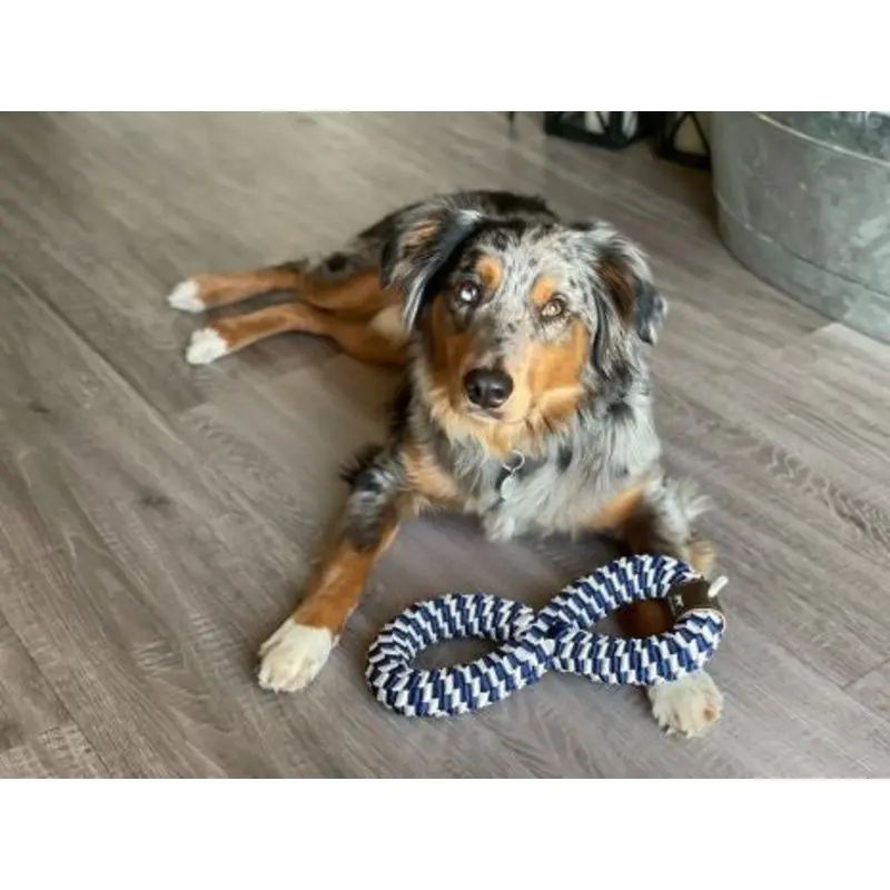 Tall Tails Braided Infinity Tug 11in