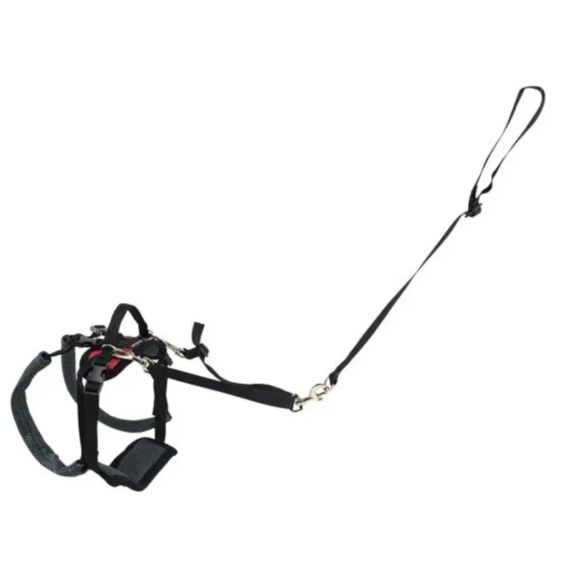 PetSafe Care Lift Rear Support Harness
