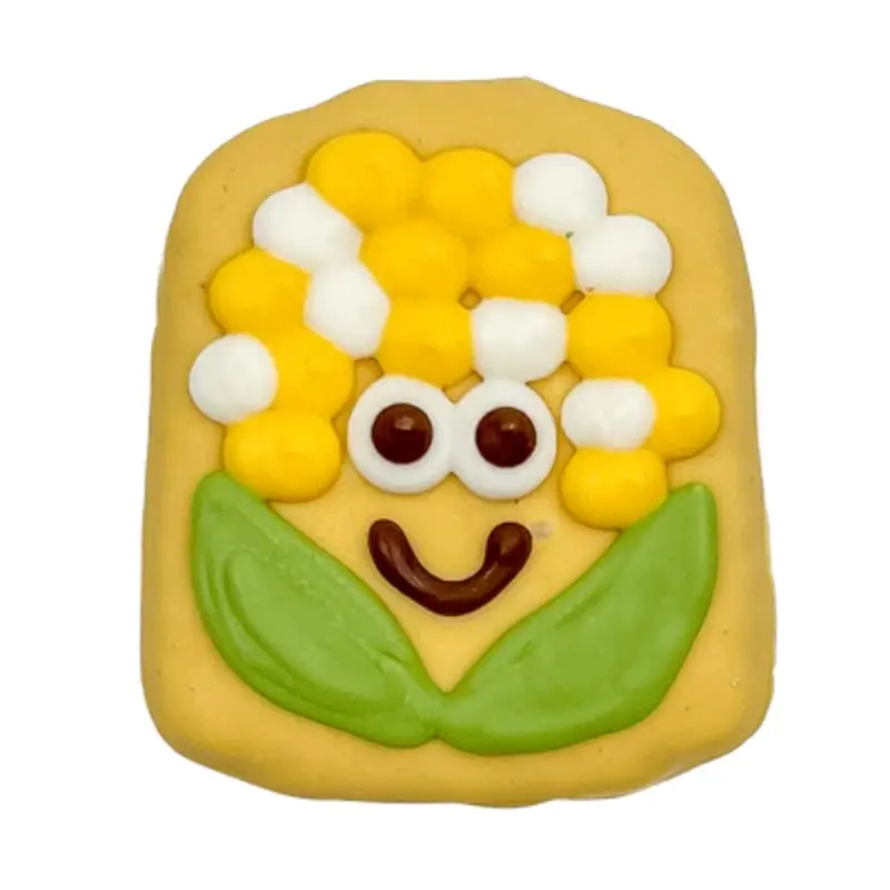 BOSCO & ROXY MAIZE CORN SUMMER BBQ COLLECTION