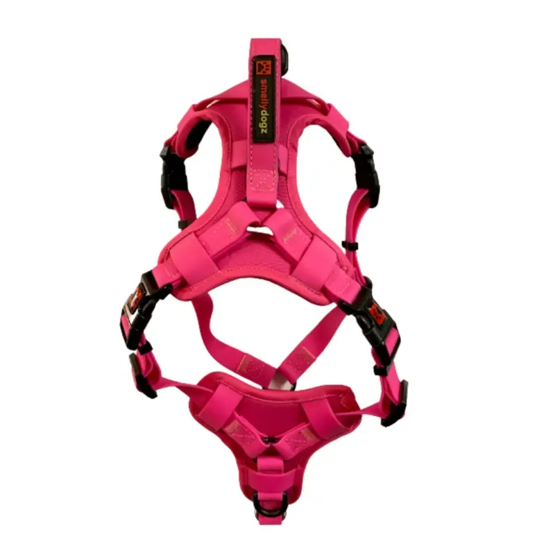 SMELLYDOGZ ADJUSTABLE COMFORT COLLAR - SMALL
