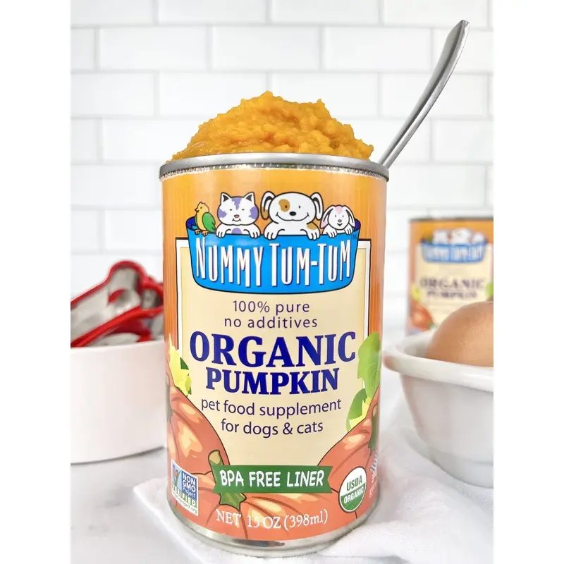 NUMMY TUM TUM ORGANIC PUMPKIN FOR PETS WET FOOD
