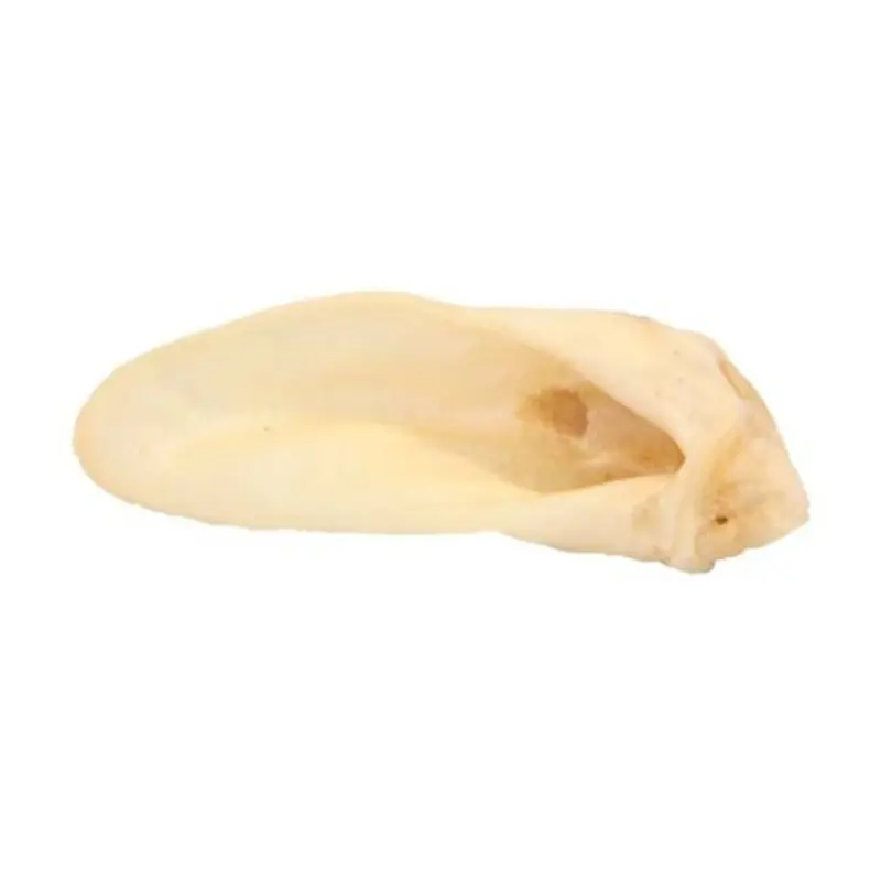 Red Barn Lamb Ears Dog