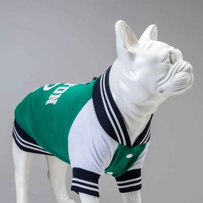 LINDO CLOTHING COLLEGE SWEATSHIRT : BOSTON