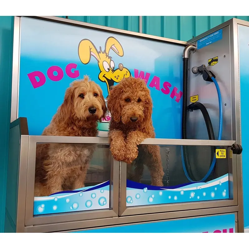 DOG WASH SERVICE