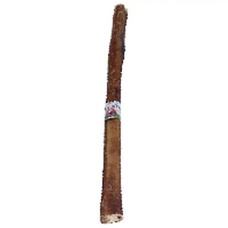 Lennox Natural Bully Stick 12in