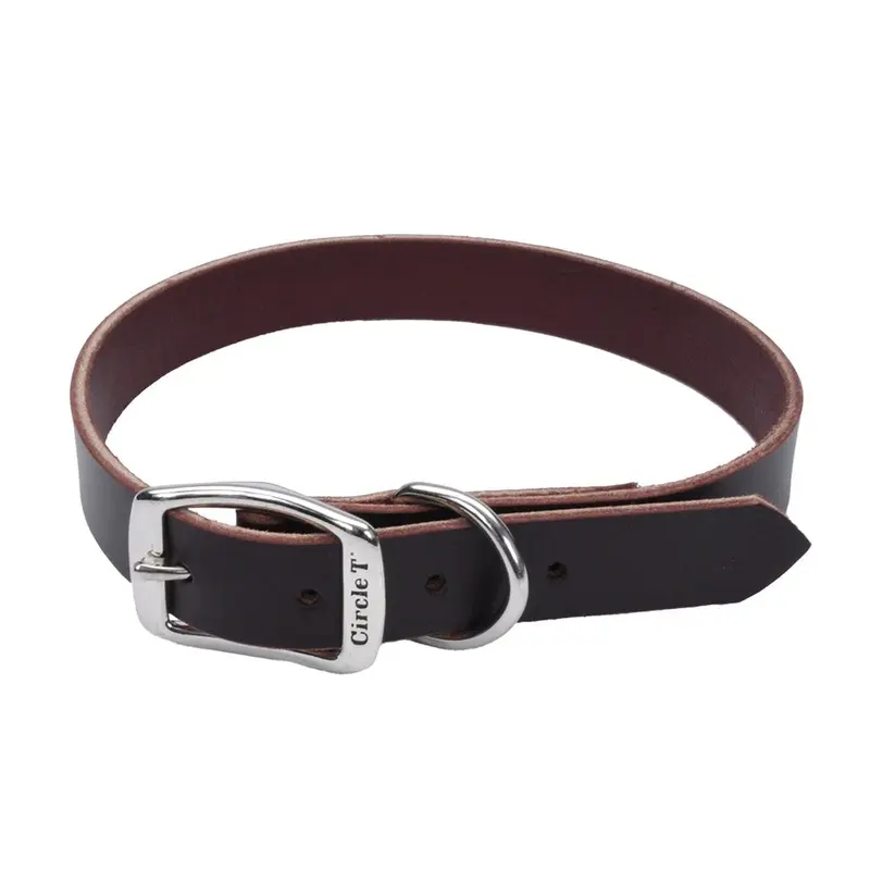 Coastal Circle T 3/4in Wide 18in Leather Town Dog Collar, Latigo