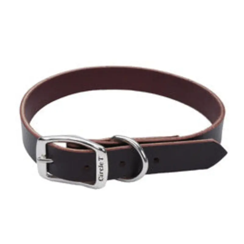 Coastal Circle T 3/8in Wide 12in  Leather Town Dog Collar, Latigo