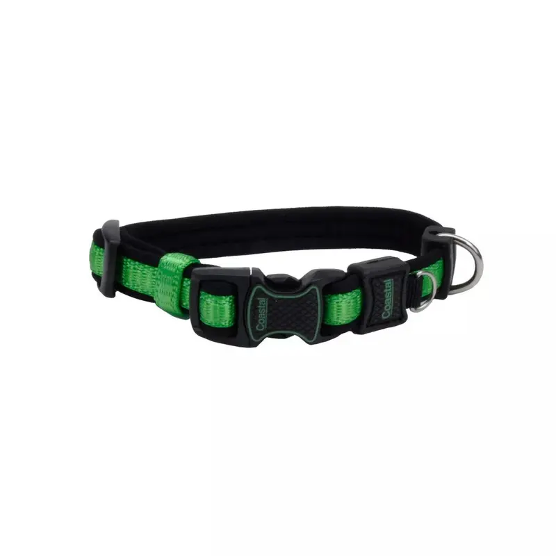 Coastal Inspire 1in Wide 18-26in Dog Collar Green