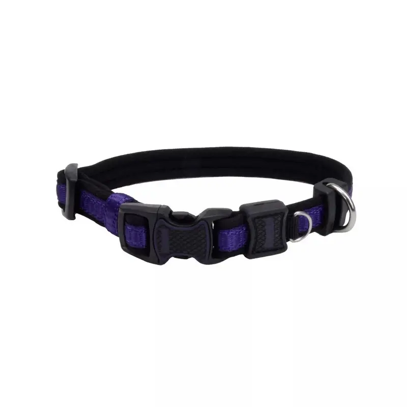 Coastal Inspire 5/8in Wide 10-14in Dog Collar Purple