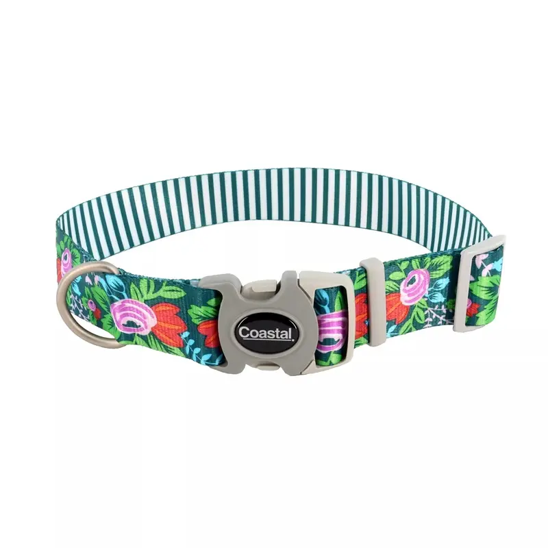 Coastal Sublime 1in Wide 12-18in Adjustable Dog Collar Flower Stripe
