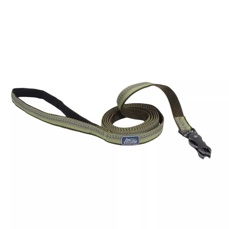 Coastal K9 Explorer 6ft Long 1in Reflective Dog Leash with Scissor Snap Fern