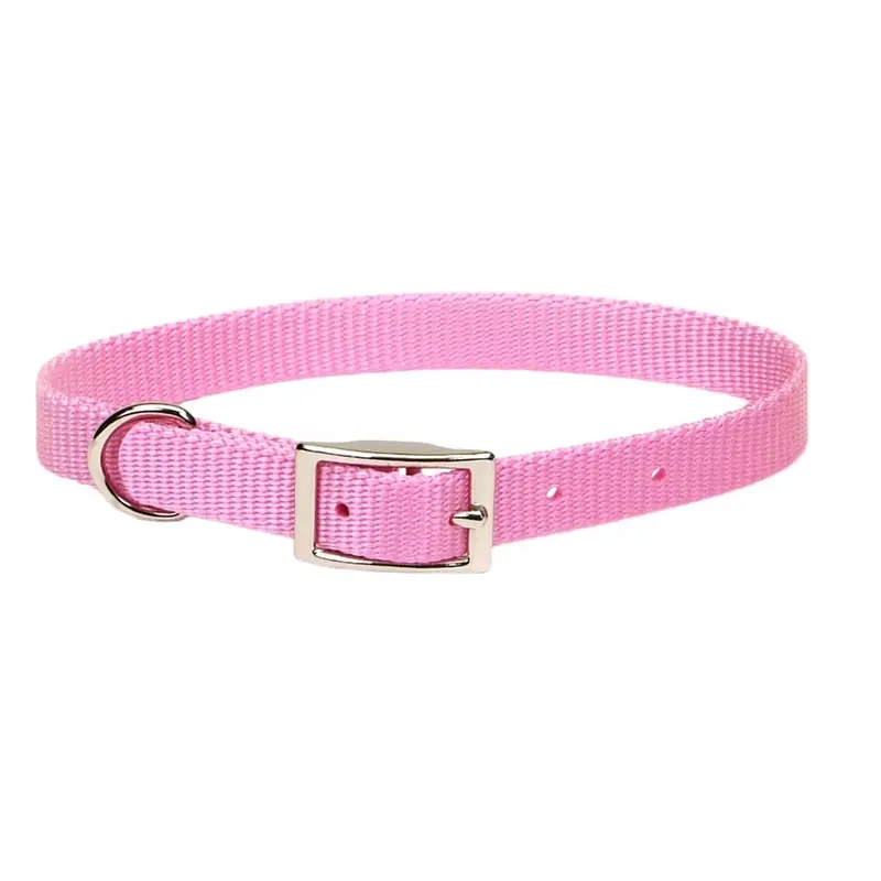 Coastal Single Ply 3/4in Wide 18in Dog Collar Bright Pink
