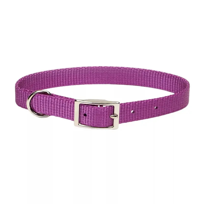 Coastal Single Ply 3/4in Wide 18in Dog Collar Orchid