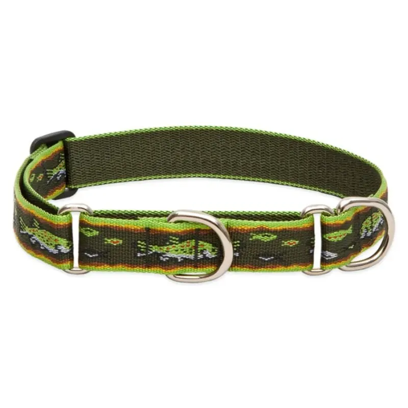 Lupine Pet Dog 1 In Wide 15-22 In Martingale Collar Original Designs Brook Trout