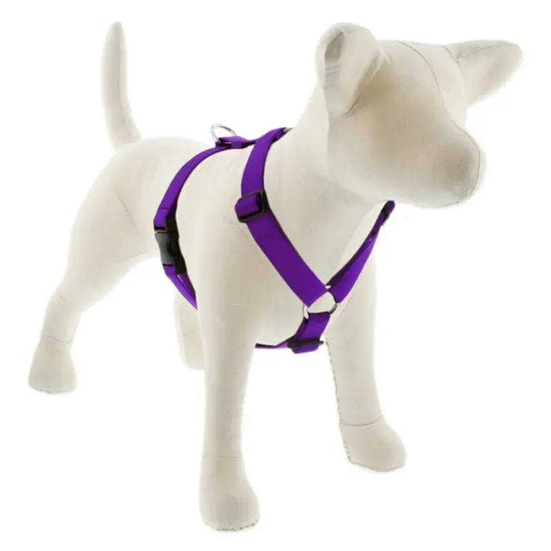 Lupine Pet Dog 1 In 20-32 In Roman Harness Basics Purple