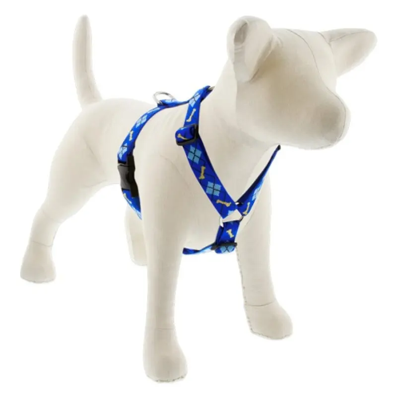 Lupine Pet Dog 3/4 In 20-32 In Roman Harness Original Designs Dapper Dog